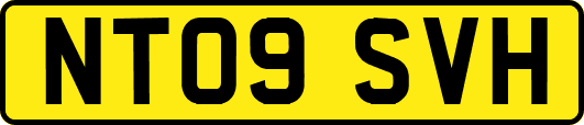 NT09SVH
