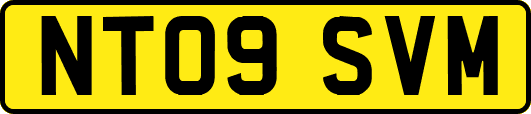 NT09SVM