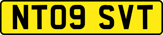 NT09SVT