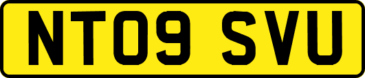 NT09SVU