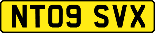 NT09SVX