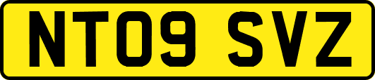 NT09SVZ