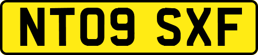 NT09SXF