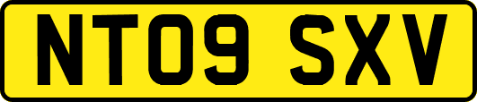 NT09SXV