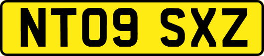 NT09SXZ