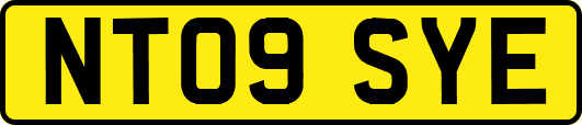 NT09SYE