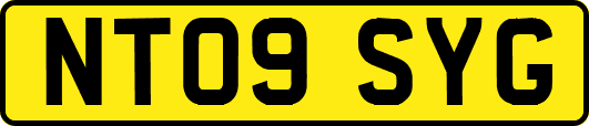 NT09SYG