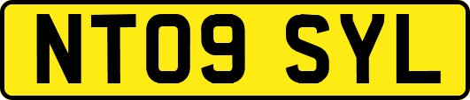 NT09SYL