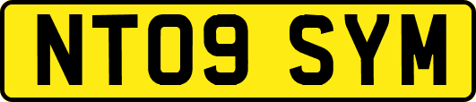 NT09SYM
