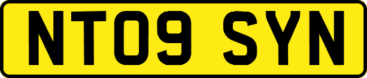 NT09SYN