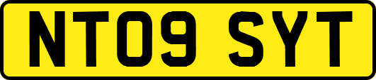 NT09SYT