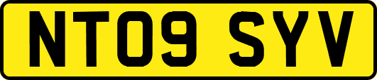 NT09SYV