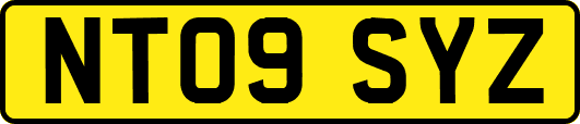 NT09SYZ