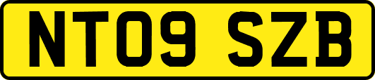 NT09SZB