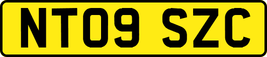 NT09SZC