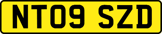 NT09SZD