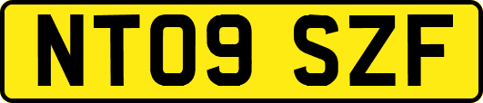 NT09SZF