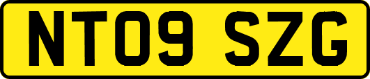 NT09SZG