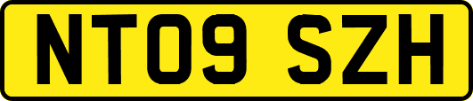 NT09SZH