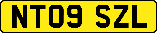 NT09SZL