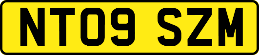 NT09SZM