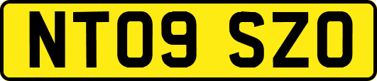 NT09SZO