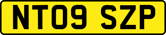 NT09SZP