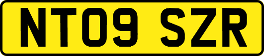 NT09SZR