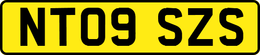NT09SZS