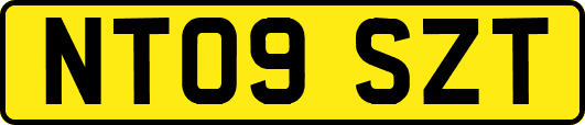 NT09SZT