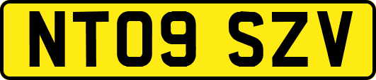 NT09SZV