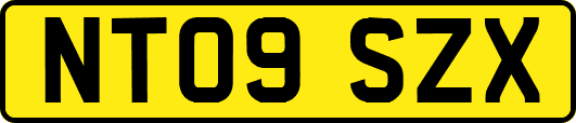 NT09SZX