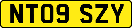 NT09SZY