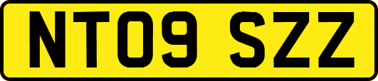 NT09SZZ