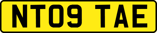 NT09TAE