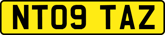 NT09TAZ
