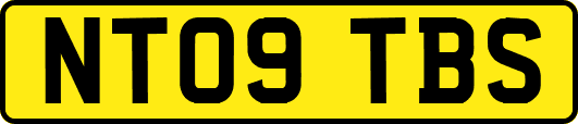 NT09TBS
