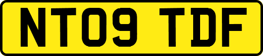 NT09TDF