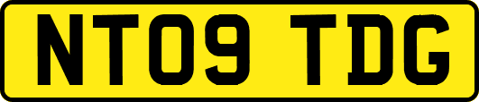 NT09TDG