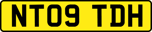 NT09TDH