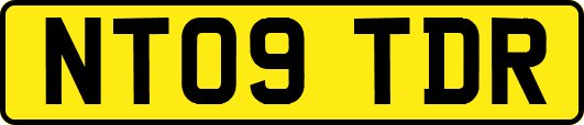 NT09TDR