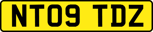 NT09TDZ