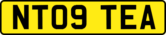 NT09TEA