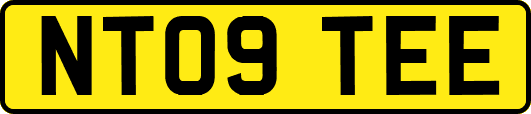NT09TEE