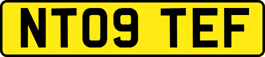 NT09TEF