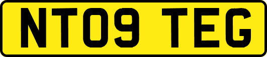 NT09TEG