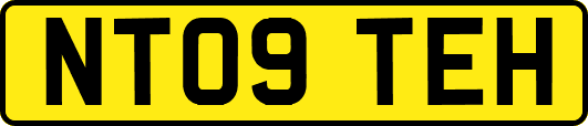 NT09TEH