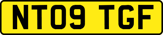NT09TGF