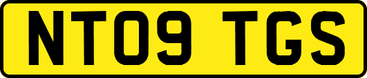 NT09TGS