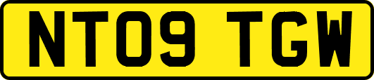 NT09TGW